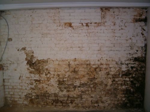 Click Here To Enlarge This Photo Of Sandblasted Walls And Fireplaces