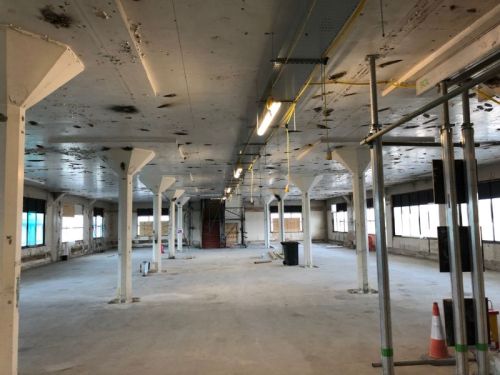 Click Here To Enlarge This Photo Of Sandblasted Lead Ceiling