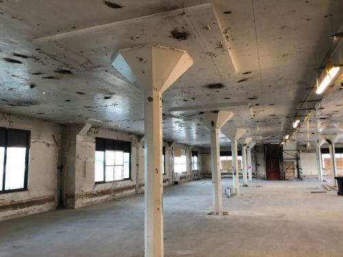Click Here To Enlarge This Photo Of Sandblasted Lead Ceiling