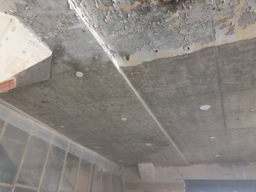 Click Here To Enlarge This Photo Of Sandblasted Lead Ceiling
