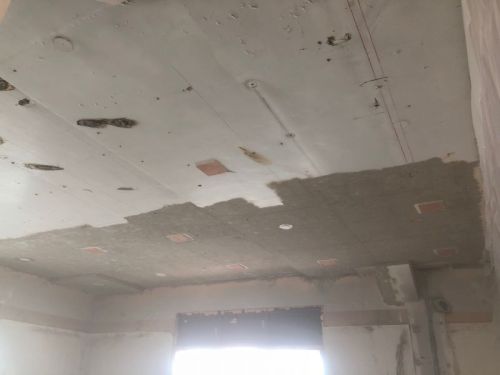 Click Here To Enlarge This Photo Of Sandblasted Lead Ceiling