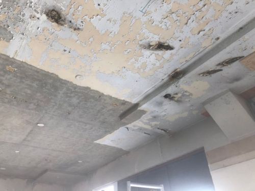 Click Here To Enlarge This Photo Of Sandblasted Lead Ceiling
