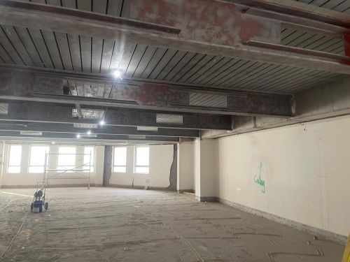 Fire Protection - Intumescent Painting
